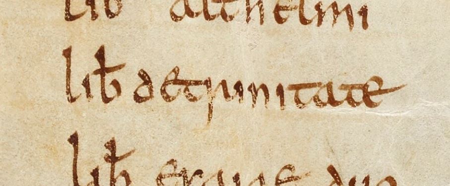 Liber de trinitate” from a booklist in Bodleian MS. Laud Misc. 126, f. 260r.