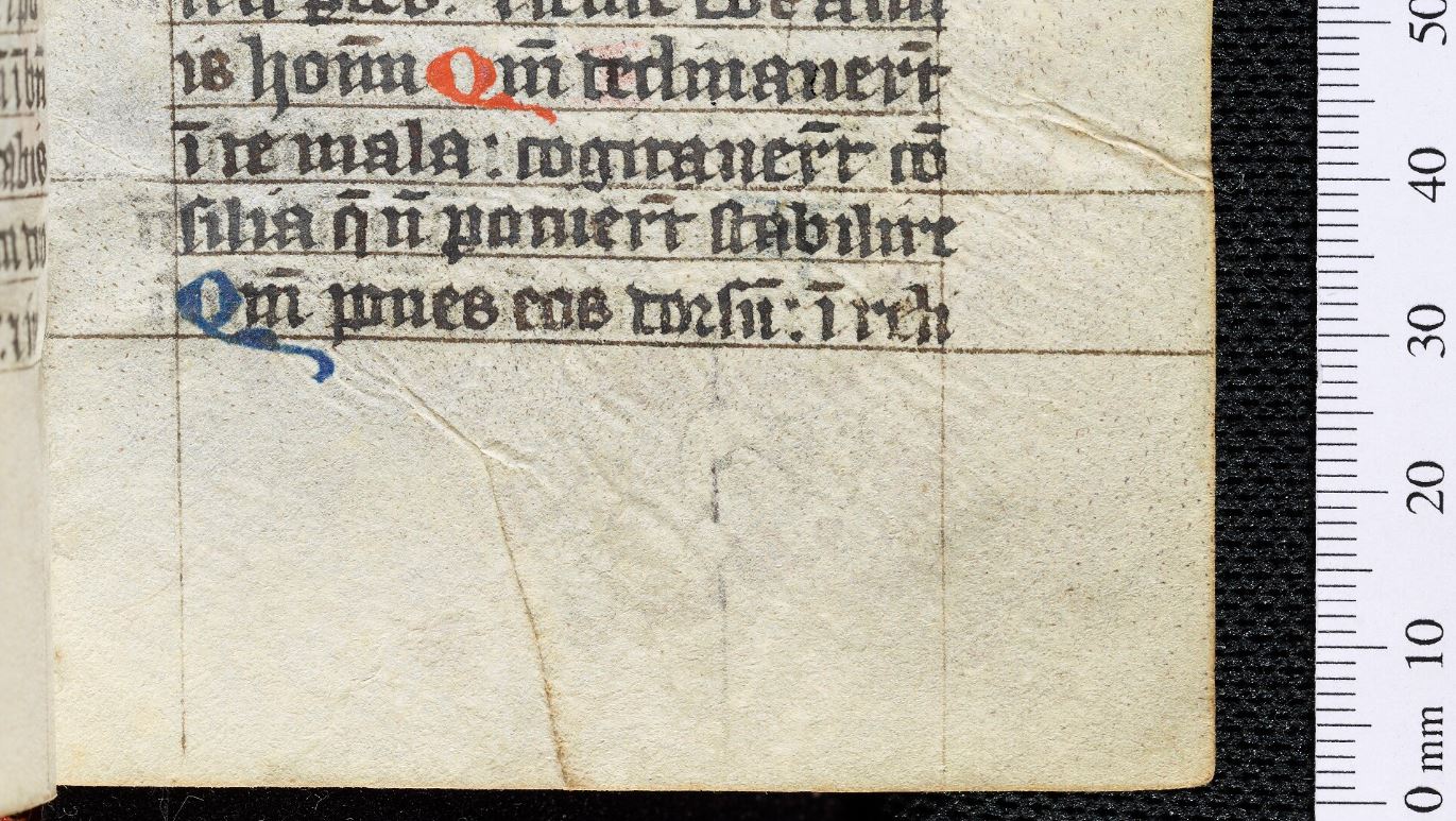 MS. Don. e. 248, fol. 47r: detail of creases and pores in parchment.