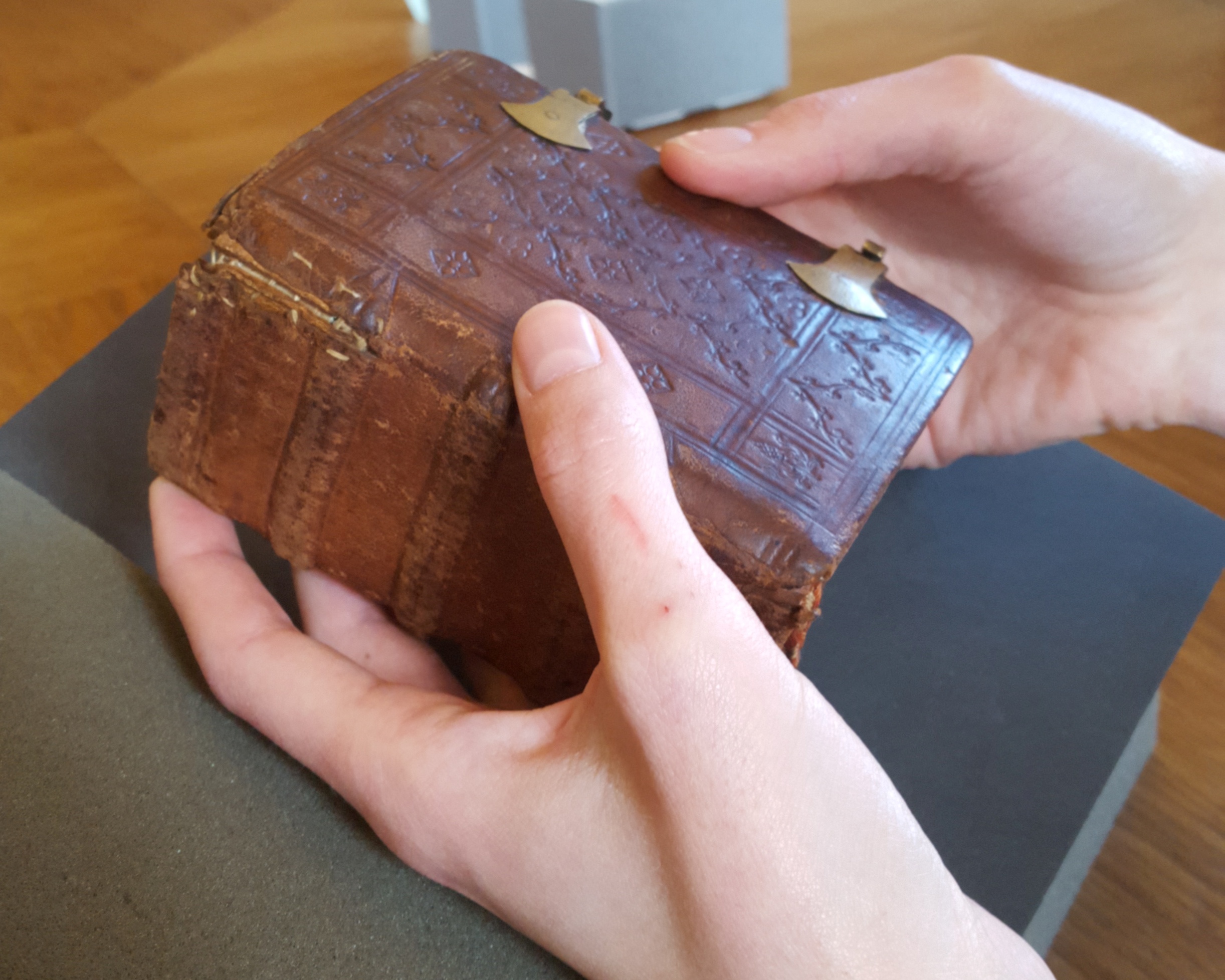 MS. Don. e. 248 held by the author.