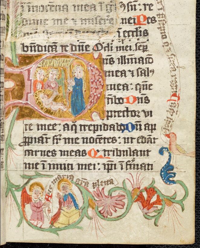 MS. Don. e. 248, fol. 55r: detail of a decorated page.