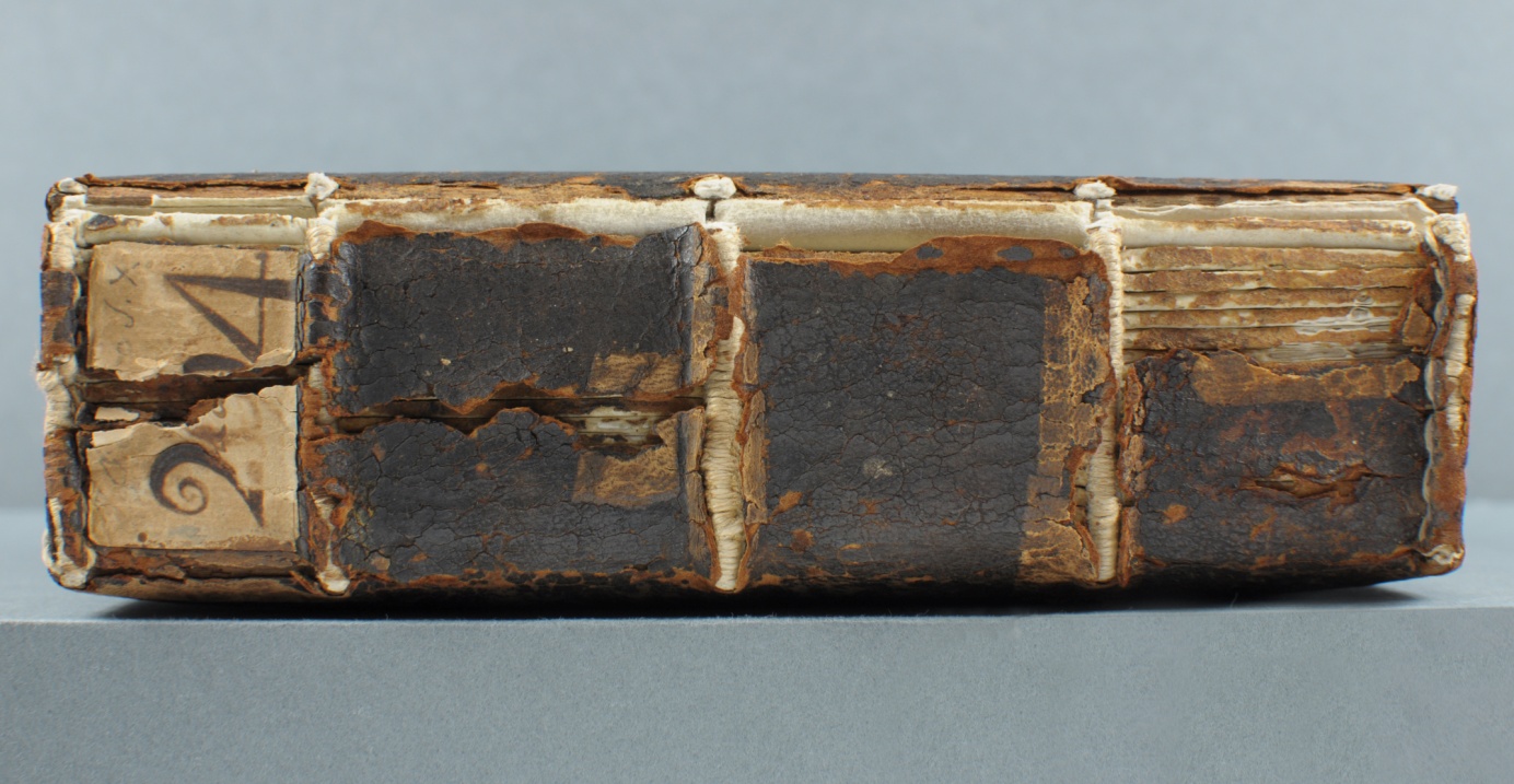 The sewing supports of this 15th-century wooden board binding as well as the brittle leather covering (which also exhibits some larger losses in the spine area) are completely torn at the front joint ([Cod. Guelf. 294 Gud. lat.](https://https-hab-bodleian-ox-ac-uk-443.webvpn.ynu.edu.cn/en/image-viewer/?manifest=https://iiif.hab.de/object/mss_294-gud-lat/manifest.json)).