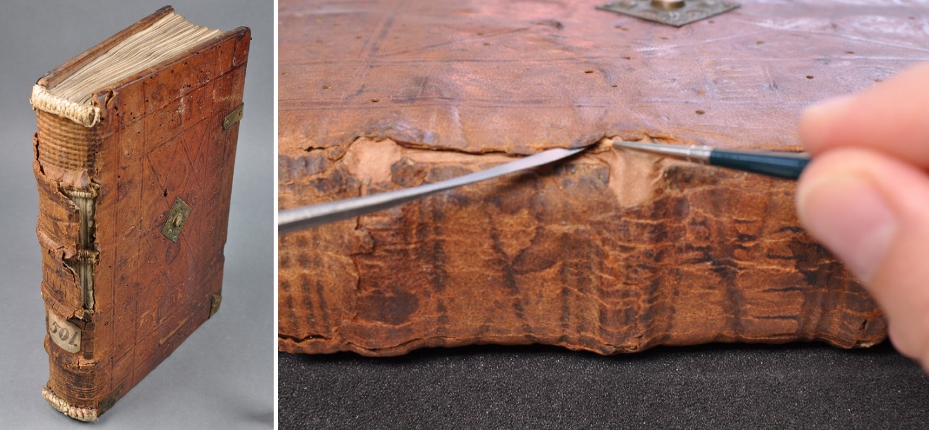 The partially split and detached leather cover on the spine of the book (left) is underlain with suitably dyed Japanese paper (right) ([Cod. Guelf. 501 Helmst.](https://https-hab-bodleian-ox-ac-uk-443.webvpn.ynu.edu.cn/en/image-viewer/?manifest=https://iiif.hab.de/object/mss_501-helmst/manifest.json)).