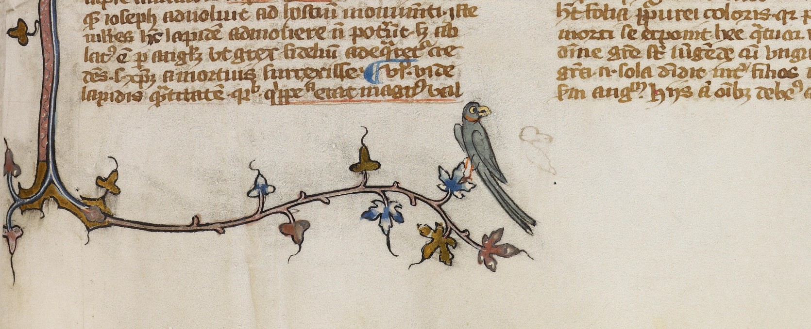 Oxford, Bodleian Library MS. Laud Misc. 281 fol. 184r