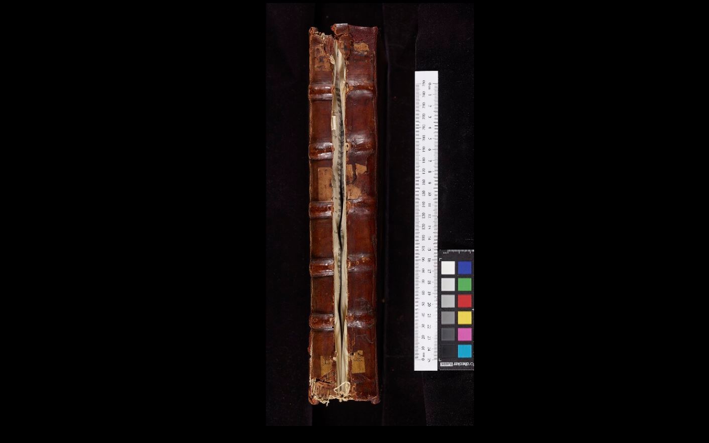 Assessing and conserving damaged bindings