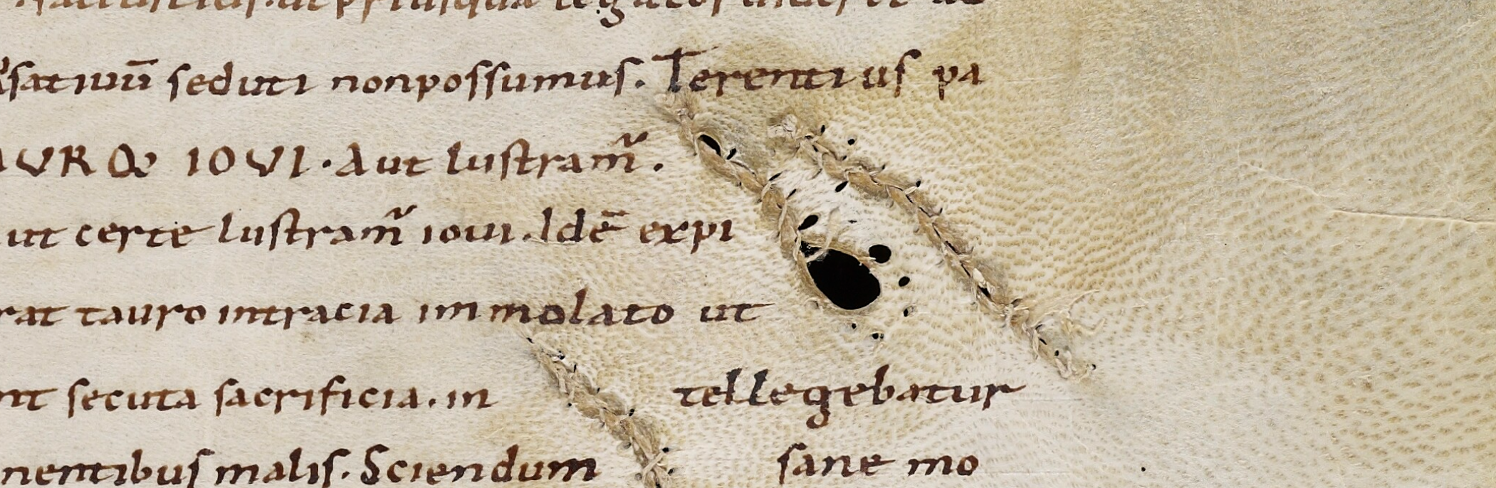 Bodleian Library MS. Laud Lat. 117, fol. 17r