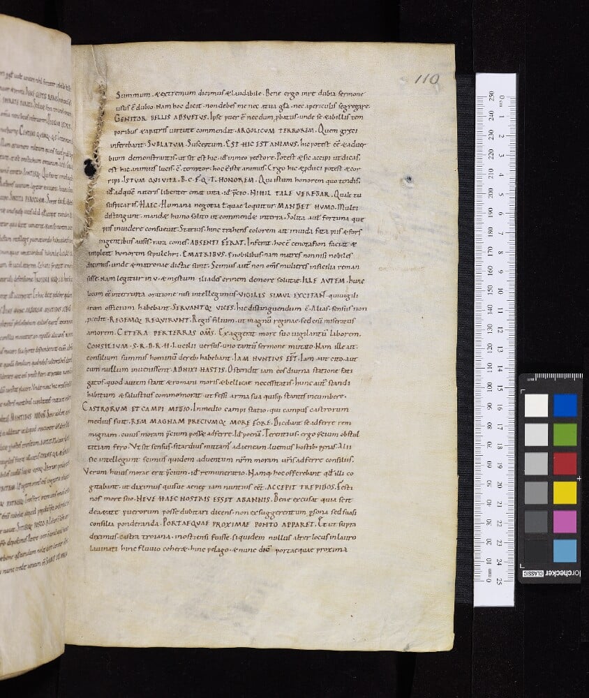 A long stretch of stitched up parchment: Oxford, Bodleian Library, MS. Laud Lat. 117, fol. 110r