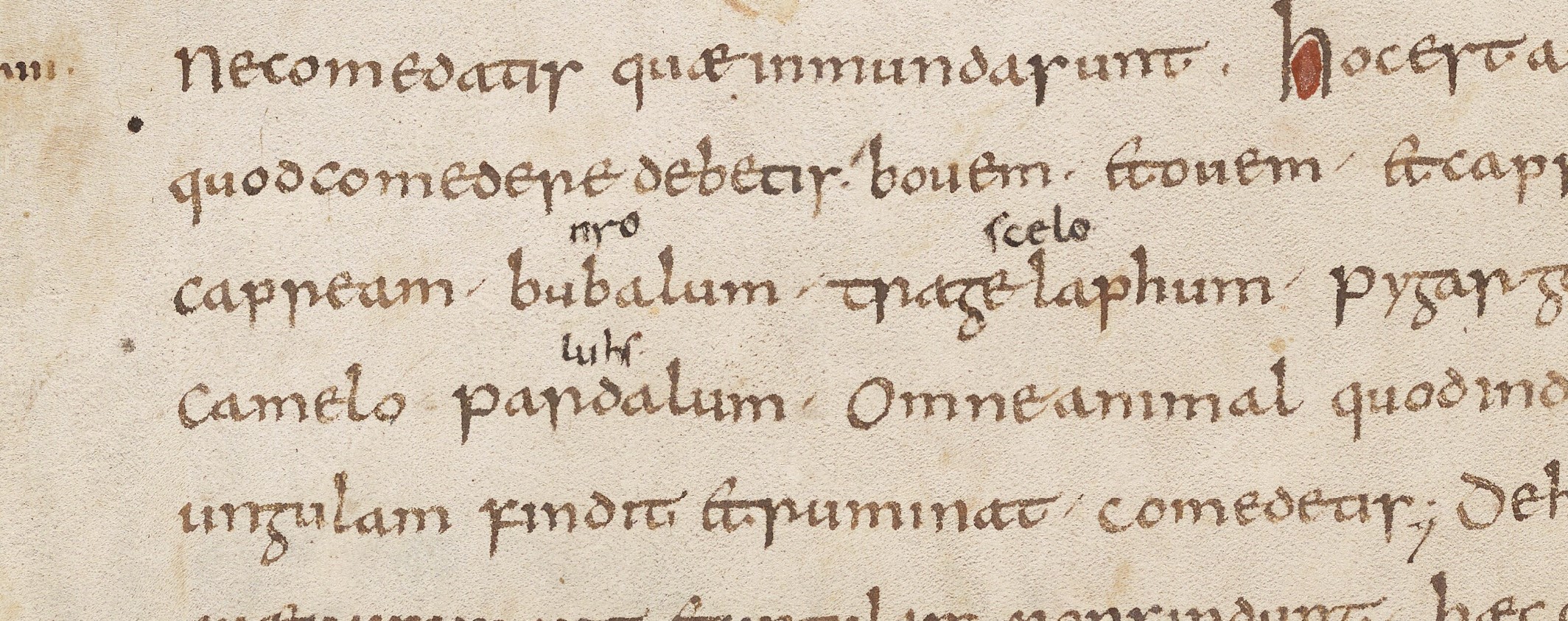 Bodleian Library MS. Laud Lat. 92, fols. 20v