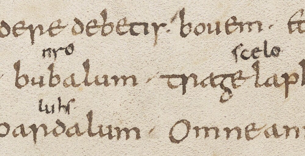 Glosses on the book of Deuteronomy: Oxford, Bodleian Library, MS. Laud Lat. 92, fol. 20v.