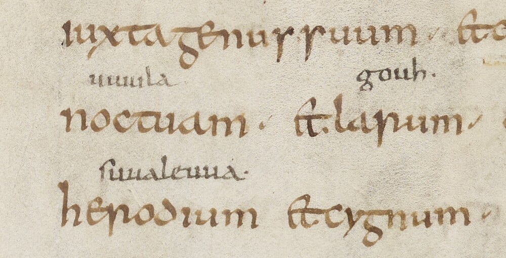 Oxford, Bodleian Library, MS. Laud Lat. 92, fol. 21r.